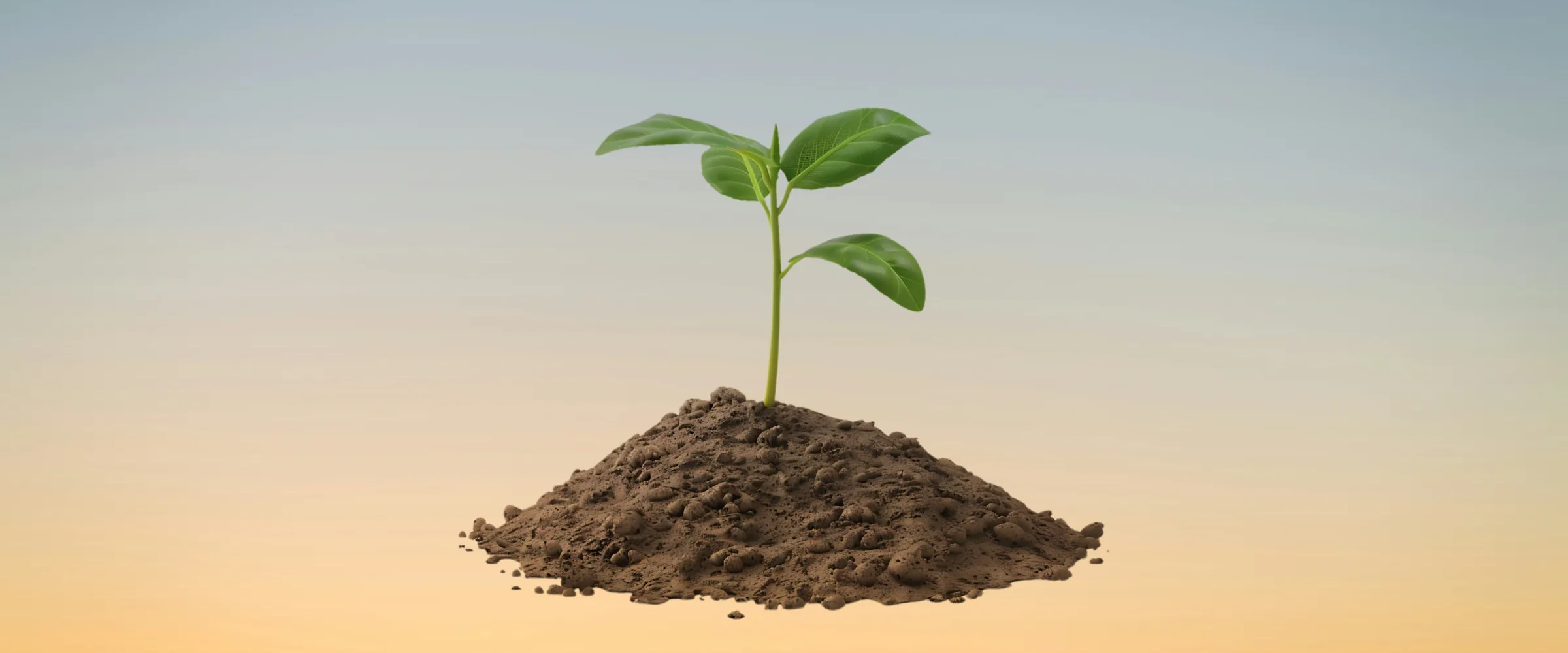 A seedling growing from soil against a dawn sky